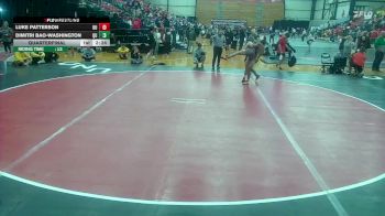 141 lbs Quarterfinal - Luke Patterson, Drury vs Dimitri Bao-Washington, Quincy