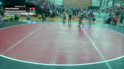 141 lbs Quarterfinal - Luke Patterson, Drury vs Dimitri Bao-Washington, Quincy