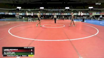 138 lbs Semis & Wb (16 Team) - Eli Eastlake, Loudoun County vs James Michaelis, Battlefield