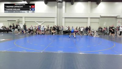 144 lbs Champ. Round 2 - Trapper Lippincott, TN vs Carver Wieland, IA