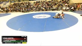 141 lbs 1st Place Match - Cameron Johnson, Aurora Universtiy vs Ethan Harsted, Wheaton College (Illinois)