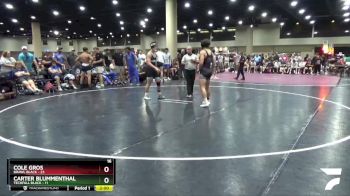 144 lbs Round 3 (6 Team) - Cole Gros, BRAWL Black vs Carter Blummenthal, Techfall Black