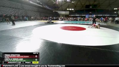 77 lbs Cons. Round 3 - Lincoln Birkeland, Tahoma Jr. Bears Wrestling Club vs Trigg Stratton, Inland Northwest Wrestling Training Center