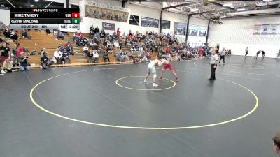 184 lbs Quarterfinal - Mike Taheny, Wabash vs Gavin Malone, Trine