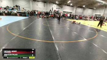 120 lbs Cons. Round 3 - Breckan Palko, Mead vs Michael Berry, Northridge