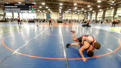 120 lbs Consi Of 64 #2 - Logan Dellow, CO vs Fabian Rodriguez, IN