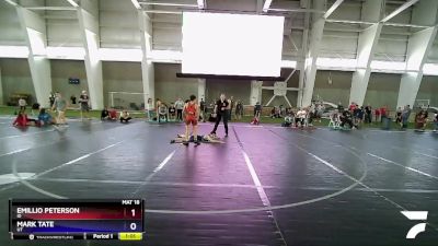 97 lbs 5th Place Match - Emillio Peterson, ID vs Mark Tate, UT