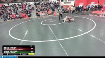 138 lbs Champ. Round 2 - Vance Williams, Woodstock (MARIAN) vs Ethan Harvey, New Lenox (LINCOLN-WAY CENTRAL)