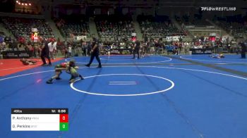 49 lbs Quarterfinal - Parker Anthony, Team Punisher (TX) vs Dalton Perkins, Standfast