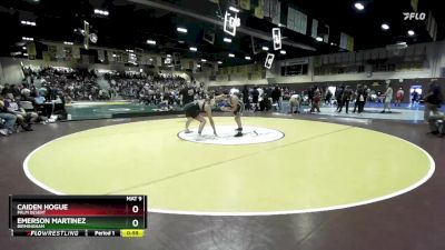 175 lbs Cons. Round 3 - Emerson Martinez, Birmingham vs Caiden Hogue, Palm Desert