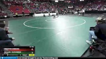 D1-182 lbs Quarterfinal - Michael Alexander, De Pere vs Trenton Gibbons, Pulaski