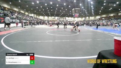 145 lbs Consi Of 32 #1 - Aaron Anliker, West Valley vs Santino Breshears, Central Valley (Ceres)