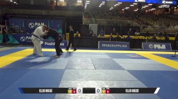 Ellis Hulse vs Brian Joseph Whiston 2025 Pan Jiu Jitsu IBJJF Championship