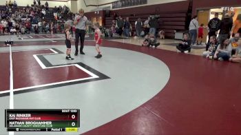 B-6 lbs Round 5 - Nathan Broghammer, Delaware County Wrestling Club vs Kai Riniker, East Buchanan Mat Club