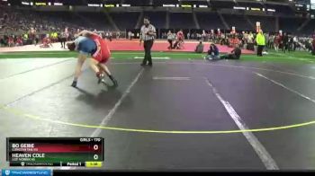 Girls - 170 lbs Quarterfinal - Heaven Cole, Loy Norrix HS vs Bo Geibe, Constantine HS