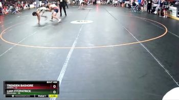 135 lbs Cons. Round 3 - Trenden Bashore, Dewitt vs Liam Fitzpatrick, Rockford