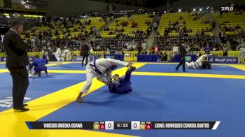 Lionel Henriques Correia Santos vs Vinicius Umeoka Ogawa 2026 World Jiu-Jitsu IBJJF Championship