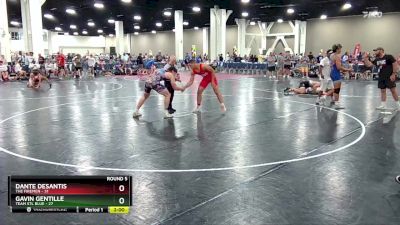 215 lbs Round 5 (16 Team) - Dante Desantis, The Firemen vs Gavin Gentille, Team STL Blue