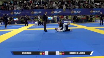 Bernard Luc A Rinaldi vs Ujvári Gábor 2025 European Jiu-Jitsu IBJJF Championship