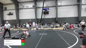 73 lbs Consi Of 8 #2 - Andrew White, Other Team vs Bentley Adams, Team Real Life