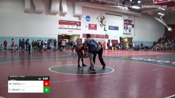 165 lbs Quarterfinal - Marcus Petite, Buffalo vs Ethan Wiant, Clarion