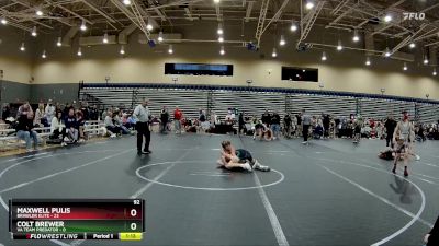 92 lbs Round 2 (4 Team) - Colt Brewer, VA Team Predator vs Maxwell Pulis, Brawler Elite