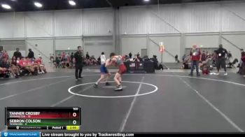 100 lbs 2nd Place Match (8 Team) - Tanner Crosby, Washington vs Sebron Colson, Tennessee