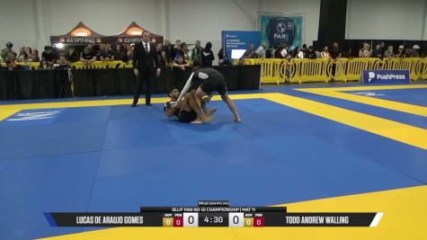 Todd Andrew Walling vs Lucas De Araujo Gomes 2026 Pan IBJJF Jiu-Jitsu No-Gi Championship