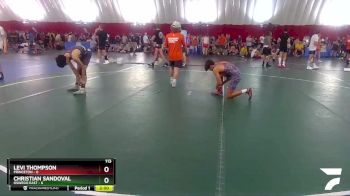 113 lbs Round 2 (4 Team) - Christian Sandoval, Oswego East vs Levi Thompson, Princeton