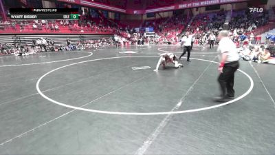 190 lbs D2/d3 - Semi-finals (sat 10:00am.) - Wyatt Bieber, Coleman vs Nathan Blaschke, Fennimore