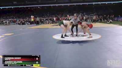 D4-215 lbs Semifinal - Cameron Doody, Perry HS vs Andrew Baldwin, Pine River Area HS