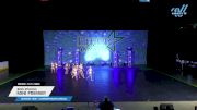 Brio Studios - Mini Premier [2023 Mini - Contemporary/Lyrical 11/11/2023] 2023 Nation's Choice Dance Grand Championship & Cheer Showdown