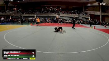 72 lbs Semifinal - Blake DeLaForest, Blaine vs Colter Wilhelmi, Foley
