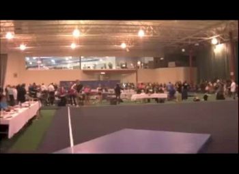 Palmers (Maggie Lundeen)