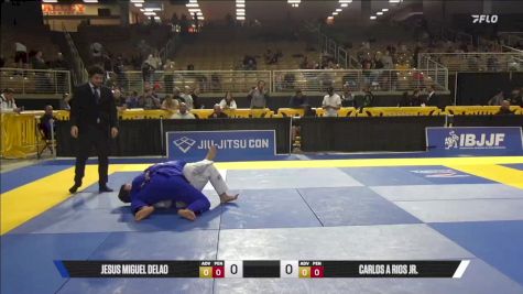 Carlos A Rios Jr. vs Jesus Miguel Delao 2025 Pan Jiu Jitsu IBJJF Championship