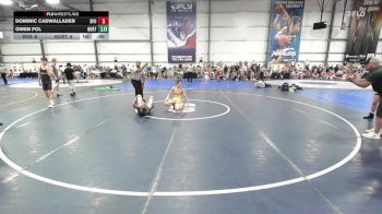 132 lbs Rr Rnd 3 - Dominic Liscotti, Division-1 vs Reid Buzby, North Hunterdon Wrestling Club