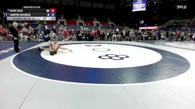 132 lbs Champ. Rd Of 16 - Alex Gau, MN vs Austin Schield, ID
