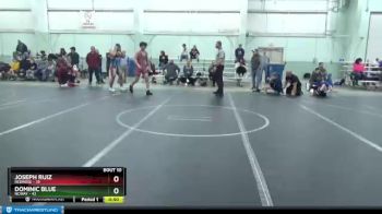 160 lbs Round 3 (8 Team) - Dominic Blue, NCWAY vs Joseph Ruiz, Rednose