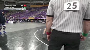 174 lbs Semis (4 Team) - Andres Nicacio, Corban University vs Cooper Spaulding, Doane University