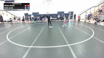 53 lbs Champ. Round 2 - Nelson Zwanziger, IA vs Henrik Haake, MN