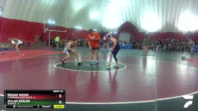 113 lbs Round 4 (16 Team) - Regan Wood, Cambridge-Isanti White vs Dylan Keeler, Buffalo