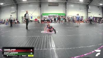 60 lbs Round 1 (4 Team) - Tanner James, Team Palmetto vs Wyatt Lavender, Storm Wrestling