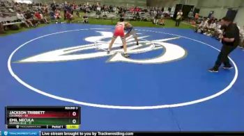 145 lbs Round 3 (8 Team) - Jackson Tribbett, Colorado vs Emil Necula, Georgia Blue