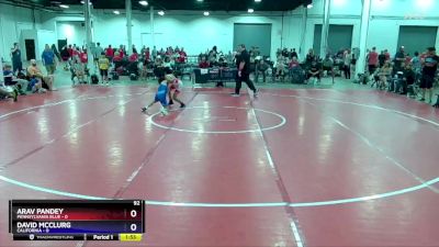 92 lbs Placement Matches (8 Team) - Arav Pandey, Pennsylvania Blue vs David McClurg, California