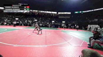 108 lbs 3rd Place Match - Dominic Jacobucci, LAC3 vs Channing Peterson, DWA