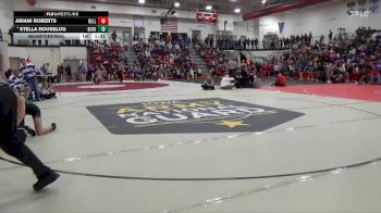 115 lbs Quarterfinal - Ariani Roberts, Bellevue vs Stella Houselog, Dubuque Hempstead