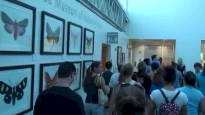 Butterflies and Gators