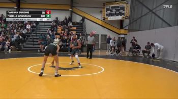 115 lbs Semifinal - Stella Houselog, Dubuque Hempstead vs Amiyah Burdine, Cedar Rapids Jefferson
