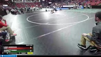 D2-113 lbs Cons. Round 1 - Lane Anderson, Amery vs Garrett Marks, Winneconne