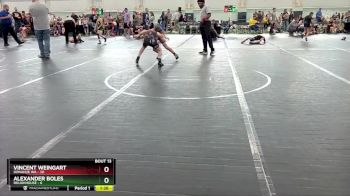72 lbs Round 5 (6 Team) - Vincent Weingart, Donahue WA vs Alexander Boles, Roughhouse